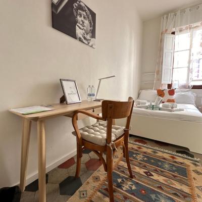 Michelangelo - Casa Babette (81 Via Vincenzo Gioberti 50121 Florence)