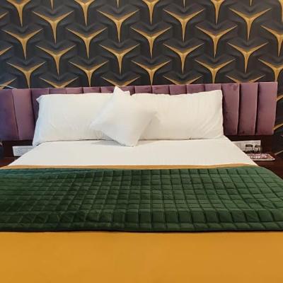 Hotel Shaswat Inn (3rd floor, creative icon,opp.H.P Petrol Pump,Near Sutar Karkhana,GIDC,Naroda -382330 382330 Ahmedabad)