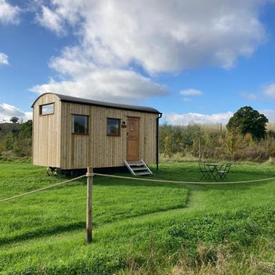 Shepherd's Huts in Barley Meadow at Spring Hill Farm (Ox15 0PL OX15 0PL Oxford)