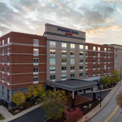 SpringHill Suites Pittsburgh Southside Works (2950 South Water Street PA 15203 Pittsburgh)