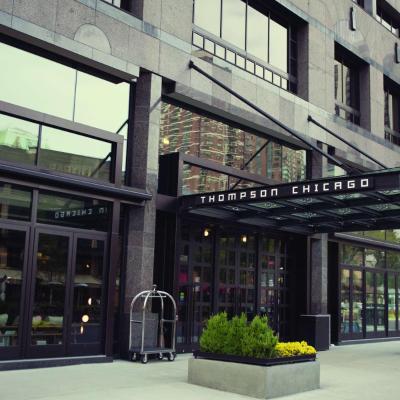Thompson Chicago, by Hyatt (21 East Bellevue Place IL 60611 Chicago)