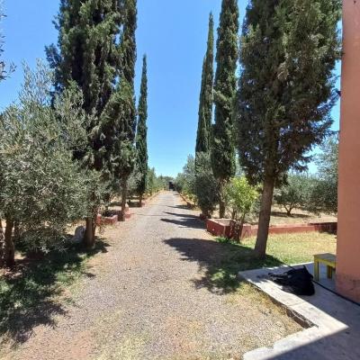 Villa Générosité (Route de Souihla 40000 Marrakech)