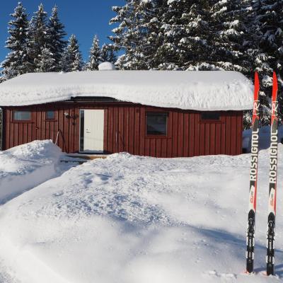 Cabin with great view close to town and ski area (33 Olasvevegen 2618 Lillehammer)