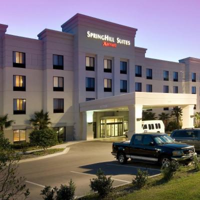 SpringHill Suites by Marriott Jacksonville North I-95 Area (13550 Airport Court FL 32218 Jacksonville)