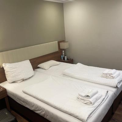 Léon Hotel und Apartments (19 A Theobald-Christ-Straße 60316 Francfort-sur-le-Main)