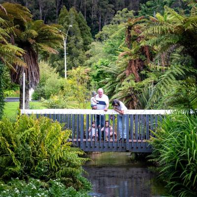 Photo Ripple Rotorua