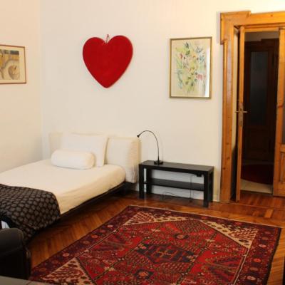 Anna ampia stanza privata (17 Via Leone Tolstoi 20146 Milan)