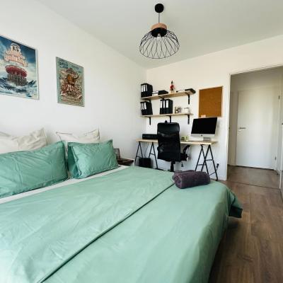 Chambre privative et confortable (Appartement 206, étage 2 34 Avenue Maurice Mailfert 49000 Angers)
