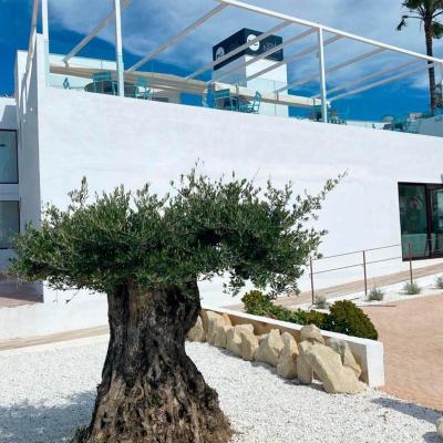 Soul Beach Hotel By Mc - Adults Recommended (Partida Playa La Almadraba, Calle 19, 12 03779 Dénia)