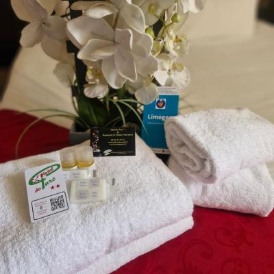 Hôtel du Parc Limoges & Restaurant 