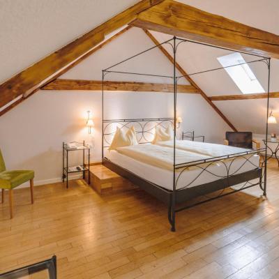 ODELYA Hotel & Naturgarten Basel City (Missionsstrasse 21 4003 Bâle)