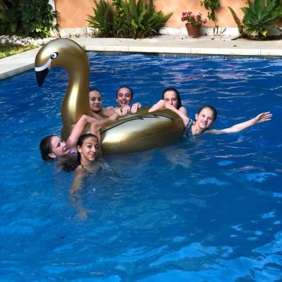 Marbella finca hotel (Calle Los Eucaliptos, Urbanización El Rosario, 510-1 29604 Marbella)