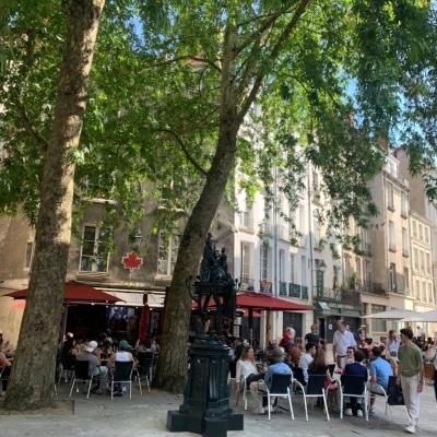 Hôtel Saint-Patrick Cœur de NANTES (7, rue Saint-Nicolas 44000 Nantes)