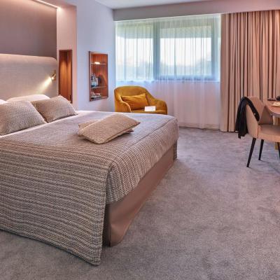 Best Western Plus Metz Technopole (1 rue Felix Savart 57074 Metz)