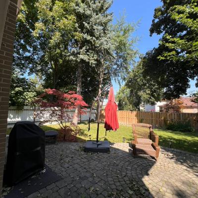 Willowdale (661 Conacher Drive M2M 3N4 Toronto)