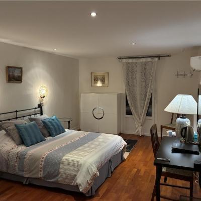 Villa atmosphère à l'ile verte (7 rue bizanet 38000 Grenoble)