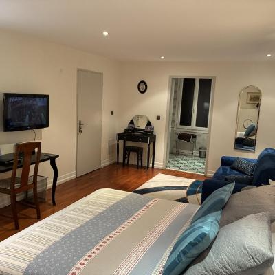 Villa atmosphère à l'ile verte (7 rue bizanet 38000 Grenoble)