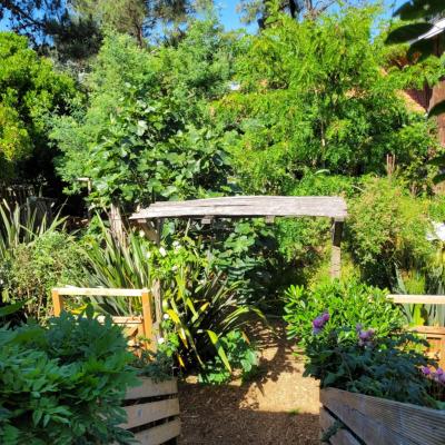 Le Lodge du Cap Ferret (11 av. de Bordeaux 33970 Le Cap Ferret)