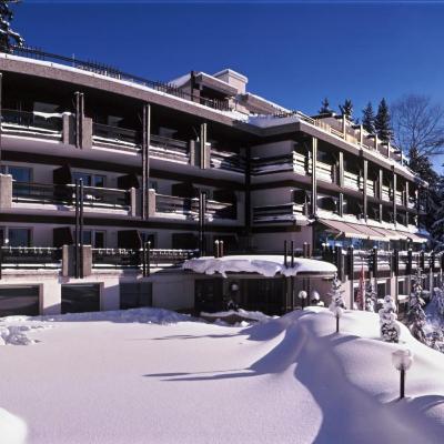 Hôtel de la Forêt (Route de la Combaz 19 3963 Crans-Montana)