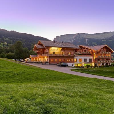 Aspen Alpine Lifestyle Hotel (Aspen 1 3818 Grindelwald)